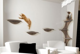 How Interior Design Can Make Your Home More Pet Friendly