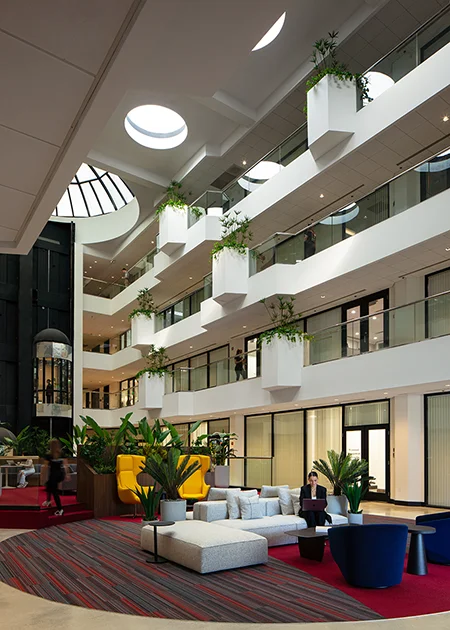 Commercial Interior Design Firm Working in Boca Raton, Florida