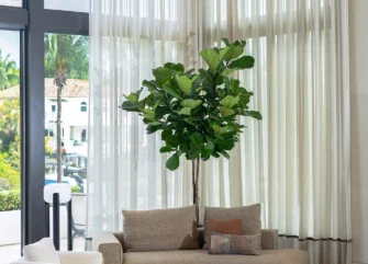 Airy seating area with double-height sheer curtains and neutral furniture in a Coral Gables luxury home renovation.